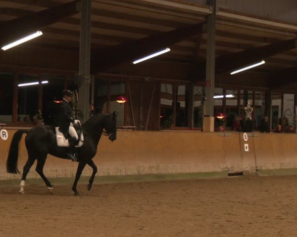 Reitturnier Appelhülsen 2024