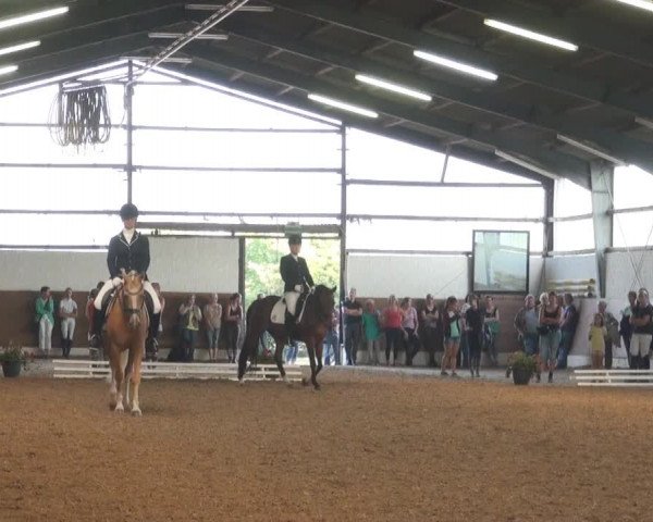Datteln 2013
