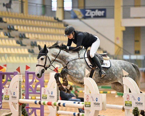 jumper La Coco 7 (Oldenburg show jumper, 2018, from Clarimo Ask)