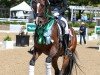 dressage horse Floriano Hb (Westphalian, 2008, from Florenciano 6)