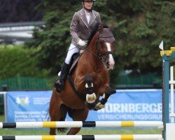 dressage horse Vezèr (Hungarian Warmblood, 2014)