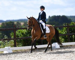 horse Eikenhorst's Lyda (New Forest Pony, 2014, from Luckington Sportaide)