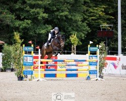 jumper Catch Me If You Want (KWPN (Royal Dutch Sporthorse), 2018, from Comthago VDL)