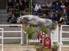 jumper Hengst von Cornet Obolensky / Toulon (Oldenburg show jumper, 2022, from Cornet Obolensky)