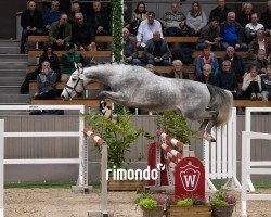 jumper Hengst von Cornet Obolensky / Toulon (Oldenburg show jumper, 2022, from Cornet Obolensky)