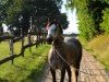 dressage horse Cira Nobless (Welsh-Pony (Section B), 2018, from Paddock Chevalier)