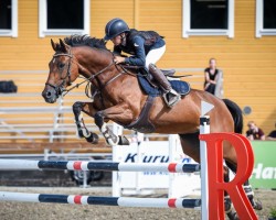 jumper Eolita L (KWPN (Royal Dutch Sporthorse), 2009, from Verdi)