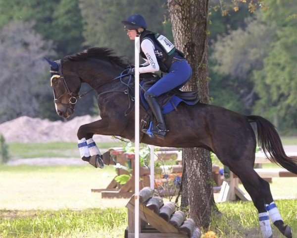 Pferd Clear Direction xx (Englisches Vollblut, 2016, von Pioneerof The Nile xx)