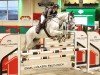 jumper Kara Ben Nemsi 7 (German Sport Horse, 2014, from Kannan)