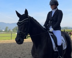 dressage horse Dolinda (Hanoverian, 2017, from Don Nobless)