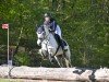 jumper Melody Harry (Connemara Pony, 2015, from I Love You Melody)