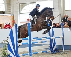 jumper Cerelia (Hanoverian, 2014, from Contendro I)