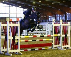 jumper Chubani (Hanoverian, 2020, from Chubakko)