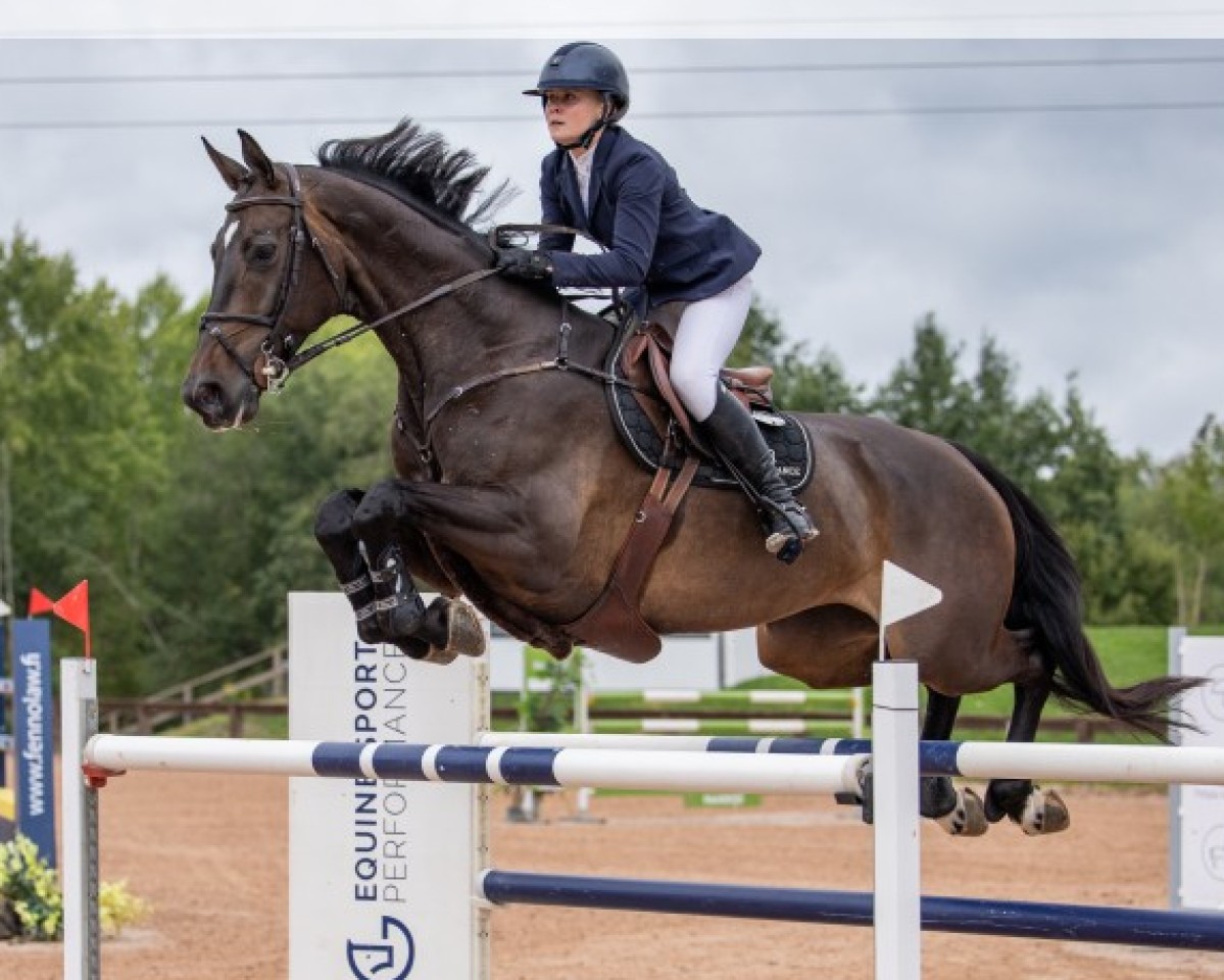jumper Kiki (KWPN (Royal Dutch Sporthorse), 2015, from Carambole)