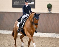 dressage horse Go-Go 10 (KWPN (Royal Dutch Sporthorse), 2011, from Glock's Tango)