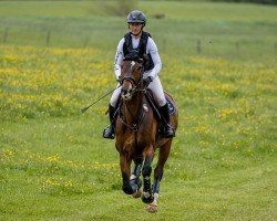 jumper Lord of Summer (KWPN (Royal Dutch Sporthorse), 2016, from Jaguar Mail)