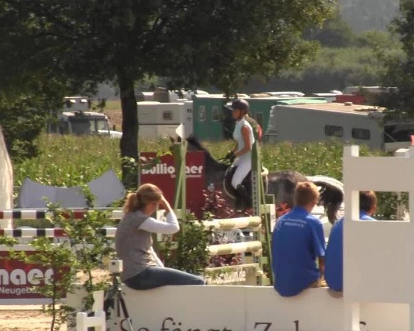 Mendener Reitertage 2013
