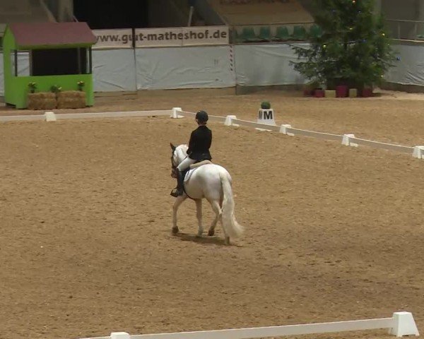 Reitturnier Kreuth/Opf. 2024