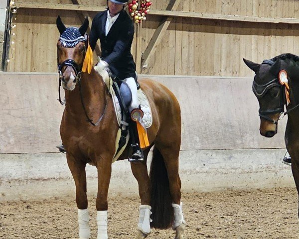 dressage horse Total Genial 2 (KWPN (Royal Dutch Sporthorse), 2020, from Blue Hors Farrell)