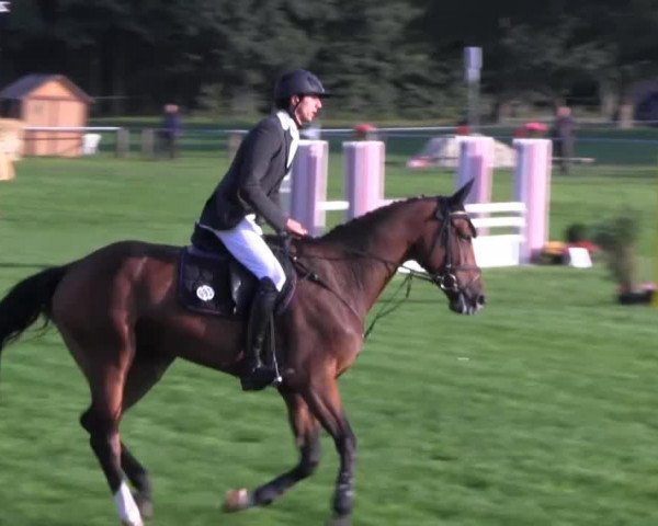 Reitsporttage an der Führser Mühle 2013