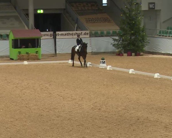 Reitturnier Kreuth/Opf. 2024