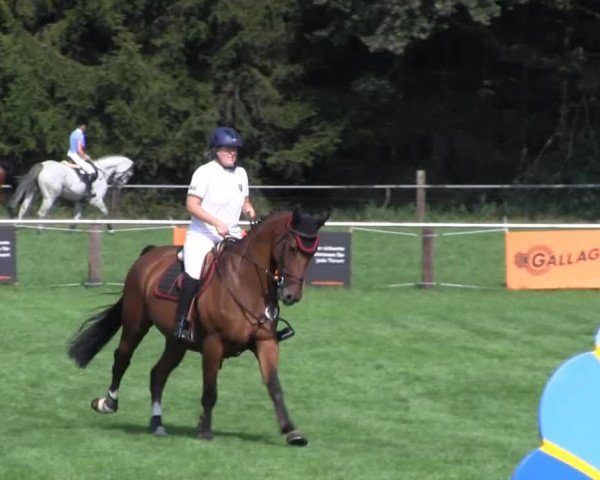 Reitsporttage an der Führser Mühle 2013