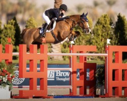 Springpferd Portobella van de Fruitkorf (Belgisches Warmblut, 2015, von Bamako de Muze)