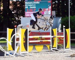 jumper Gasaka (Hanoverian, 2013, from Grey Top)