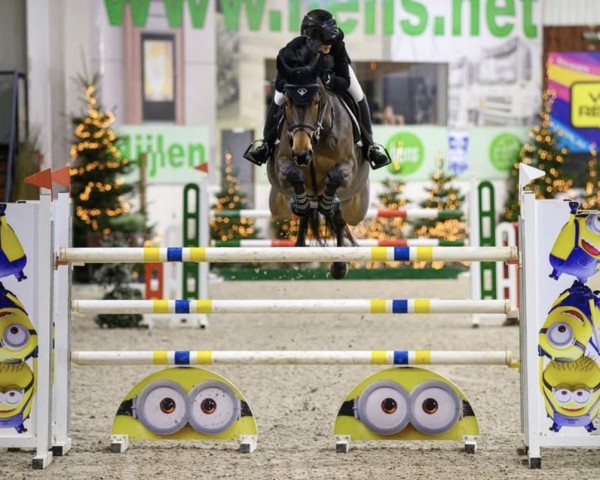 Springpferd Melita (KWPN (Niederländisches Warmblut), 2017, von Carrera VDL)