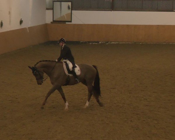 Reitturnier Datteln - Dressur-Late-Entry 2024