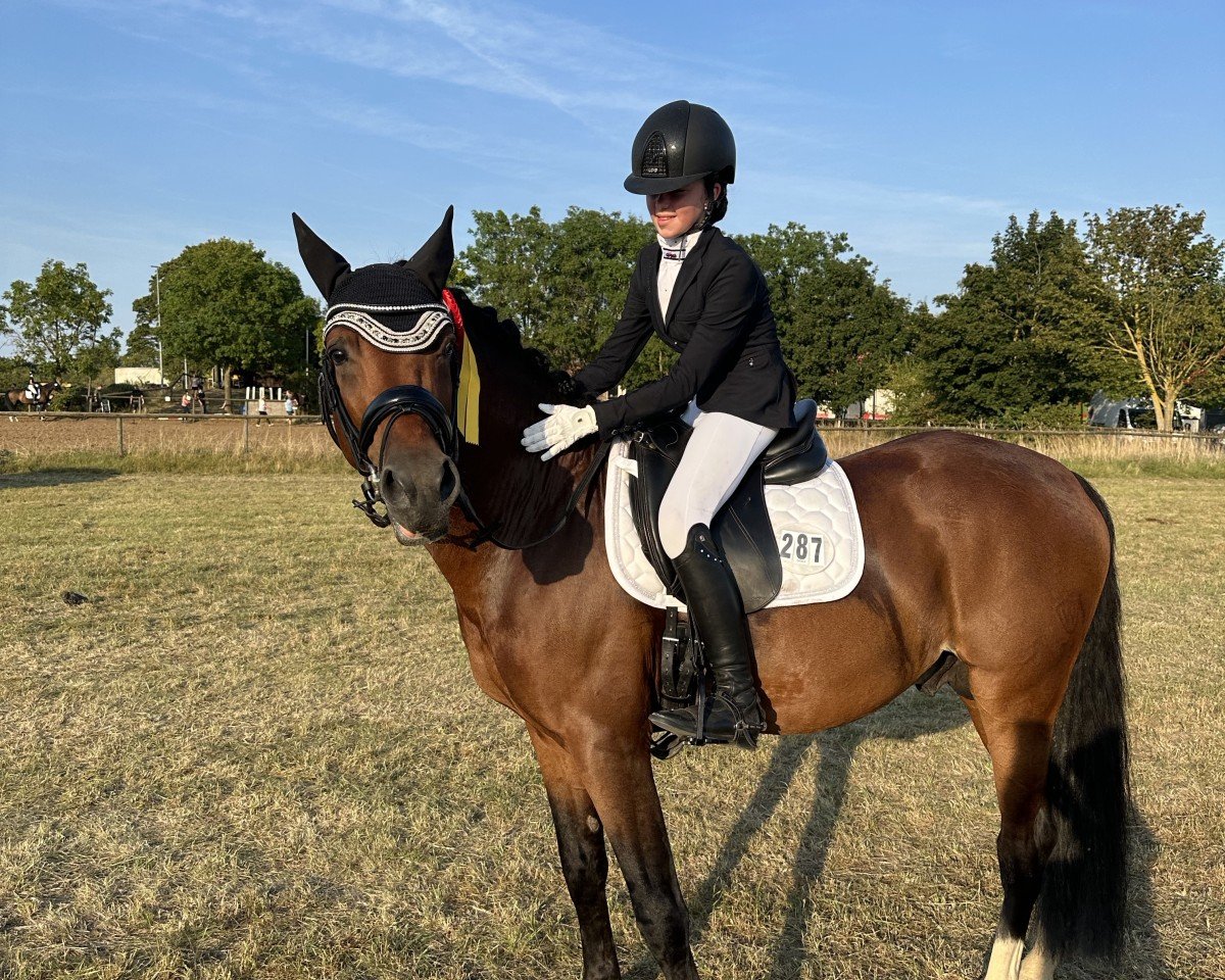 Deckhengst Hesselteichs Le Beau (Deutsches Reitpony, 2018, von Lucky Lao)