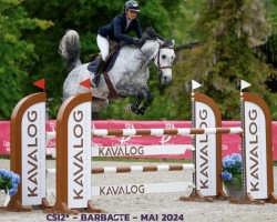 jumper Clara Classic 3 (Oldenburg show jumper, 2015, from Conthargos)