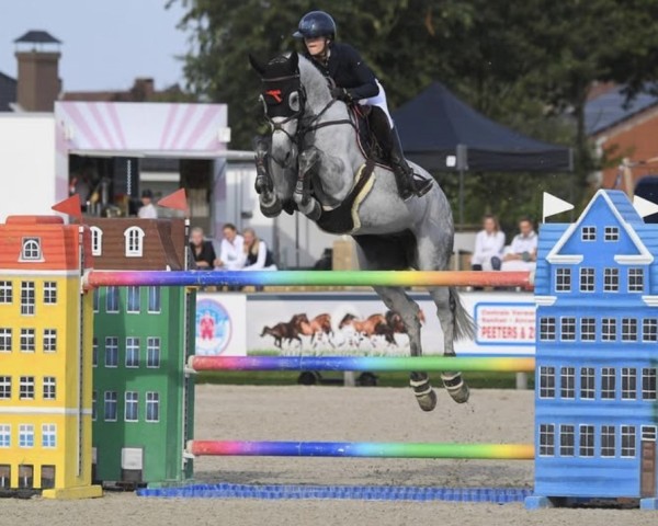 jumper Be San-Lady (anglo european sporthorse, 2015, from Freestyle vd Wolfsakker)