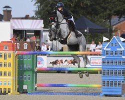 Springpferd Be San-Lady (Anglo Europäisches Sportpferd, 2015, von Freestyle vd Wolfsakker)