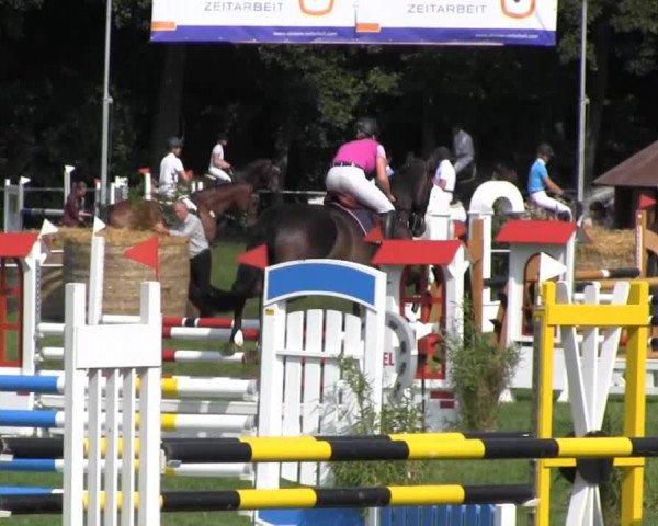 Reitsporttage an der Führser Mühle 2013