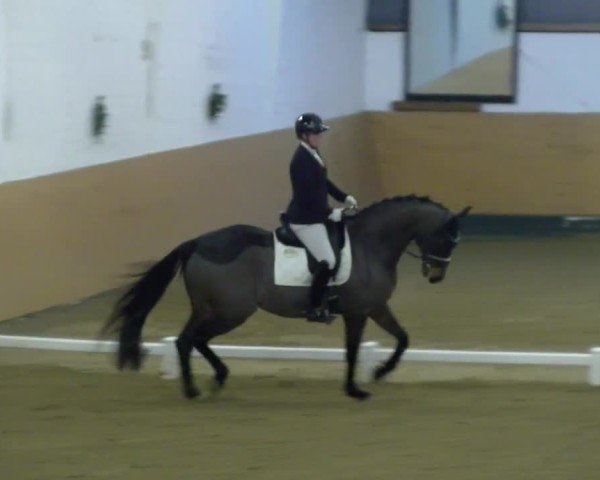 Reitturnier Datteln - Dressur-Late-Entry 2024