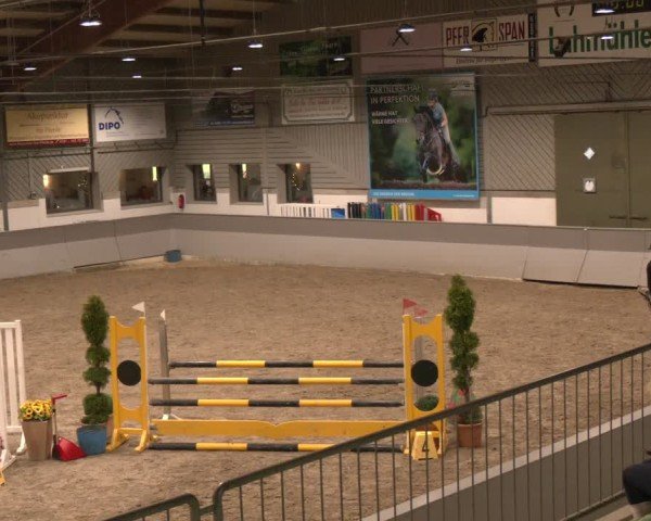 Reitturnier AZL Luhmühlen 2024