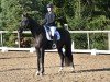 dressage horse Escamilla (Bavarian, 2020, from Escamillo)