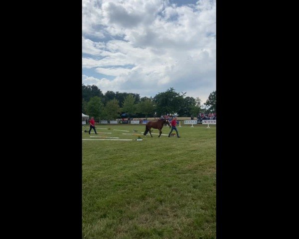 Video of A Summer Time