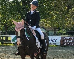 dressage horse Victoria 87 (German Riding Pony, 2007, from Valerossi)