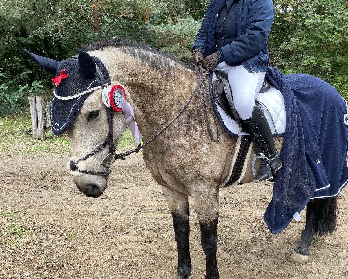 jumper Corker Robin Dun (unknown,  )