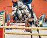 jumper Slim Fit vd Heffinck (Belgian Warmblood, 2018, from Otard van 't Roosakker)