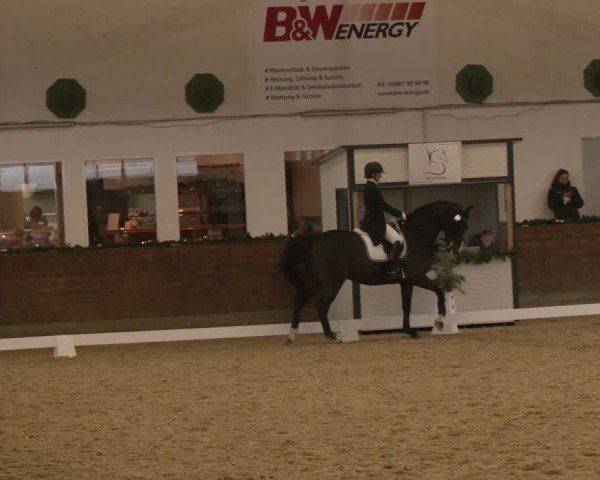 Reitturnier Coesfeld/Lette 2024