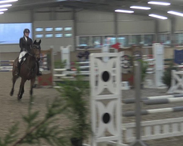 Reitturnier Ahaus 2021
