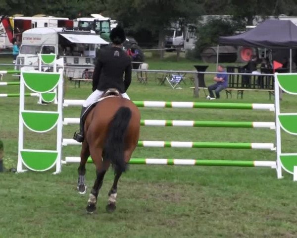 Reitsporttage an der Führser Mühle 2013