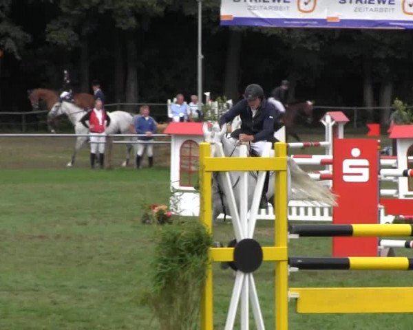 Reitsporttage an der Führser Mühle 2013