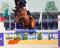 jumper Zen (KWPN (Royal Dutch Sporthorse), 2004, from Lupicor)