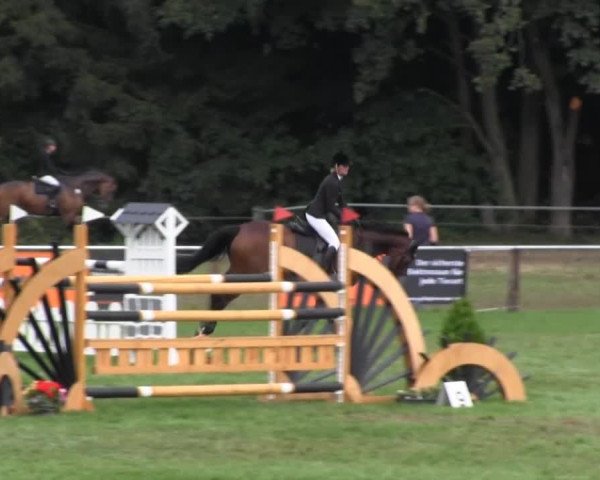 Reitsporttage an der Führser Mühle 2013