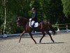 dressage horse Federleicht 27 (Oldenburg, 2017, from Blue Hors Farrell)