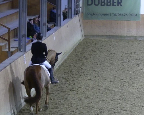 Reitturnier Borgholzhausen-Westbarthausen 2024